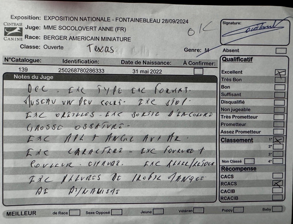 Texas Des sources sacrees