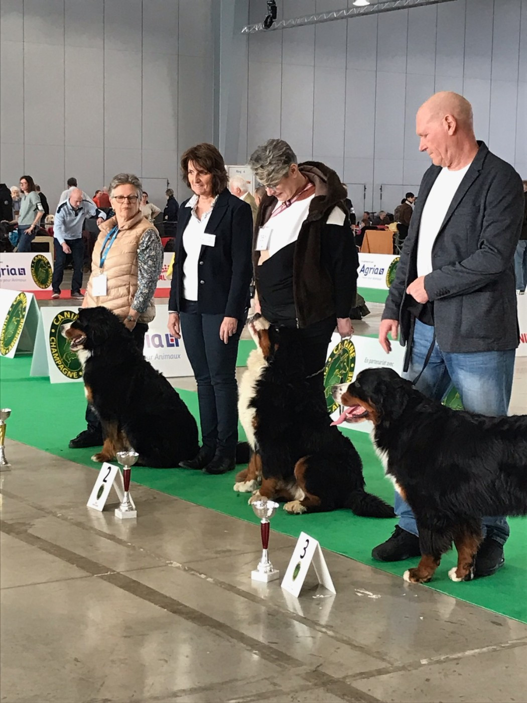 Viktoria (Sans Affixe)