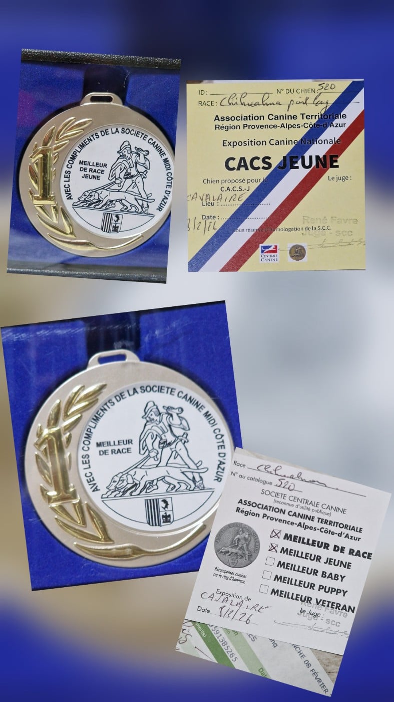 Alicia Girl On Fire Of Blue Moon's Diamond