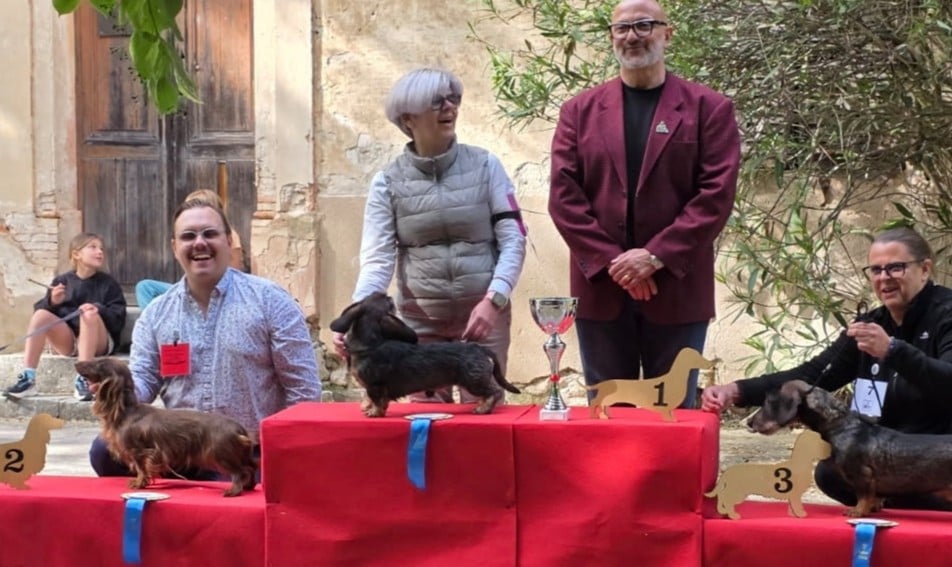 Publication : Du Clos De Brignagues