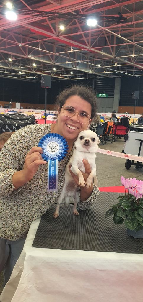 Umber De La Foret Aux Tresors - 3ème excellent