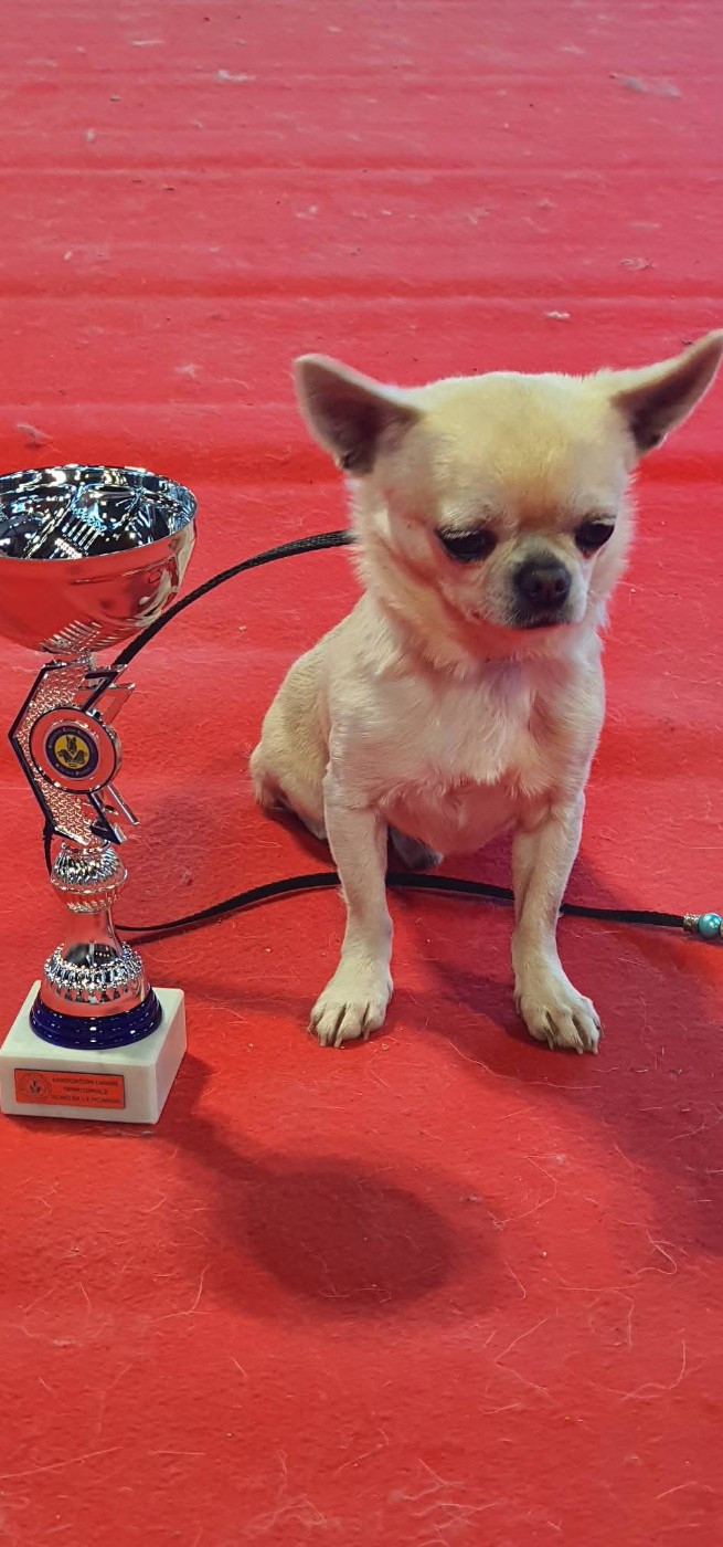 Unik De La Cite D'esmee - 2e excellent