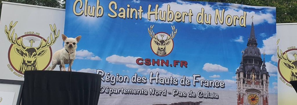 Umber De La Foret Aux Tresors - 3ème excellent