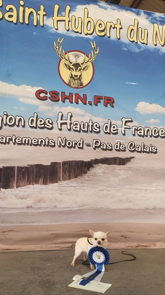 Umber De La Foret Aux Tresors - 2 excellent