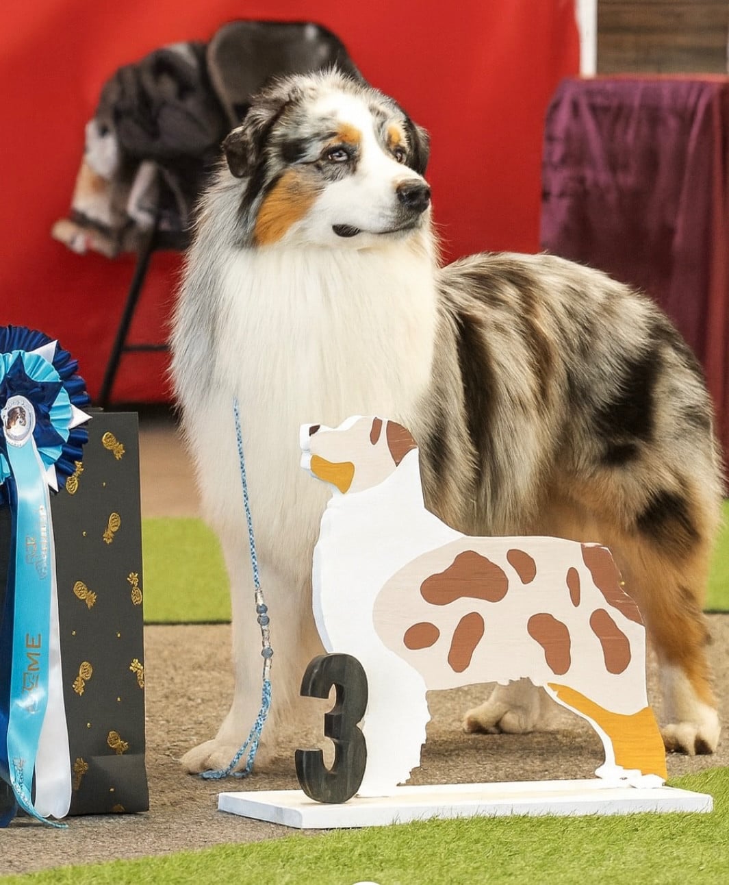 U're beautiful du Duncallipsy