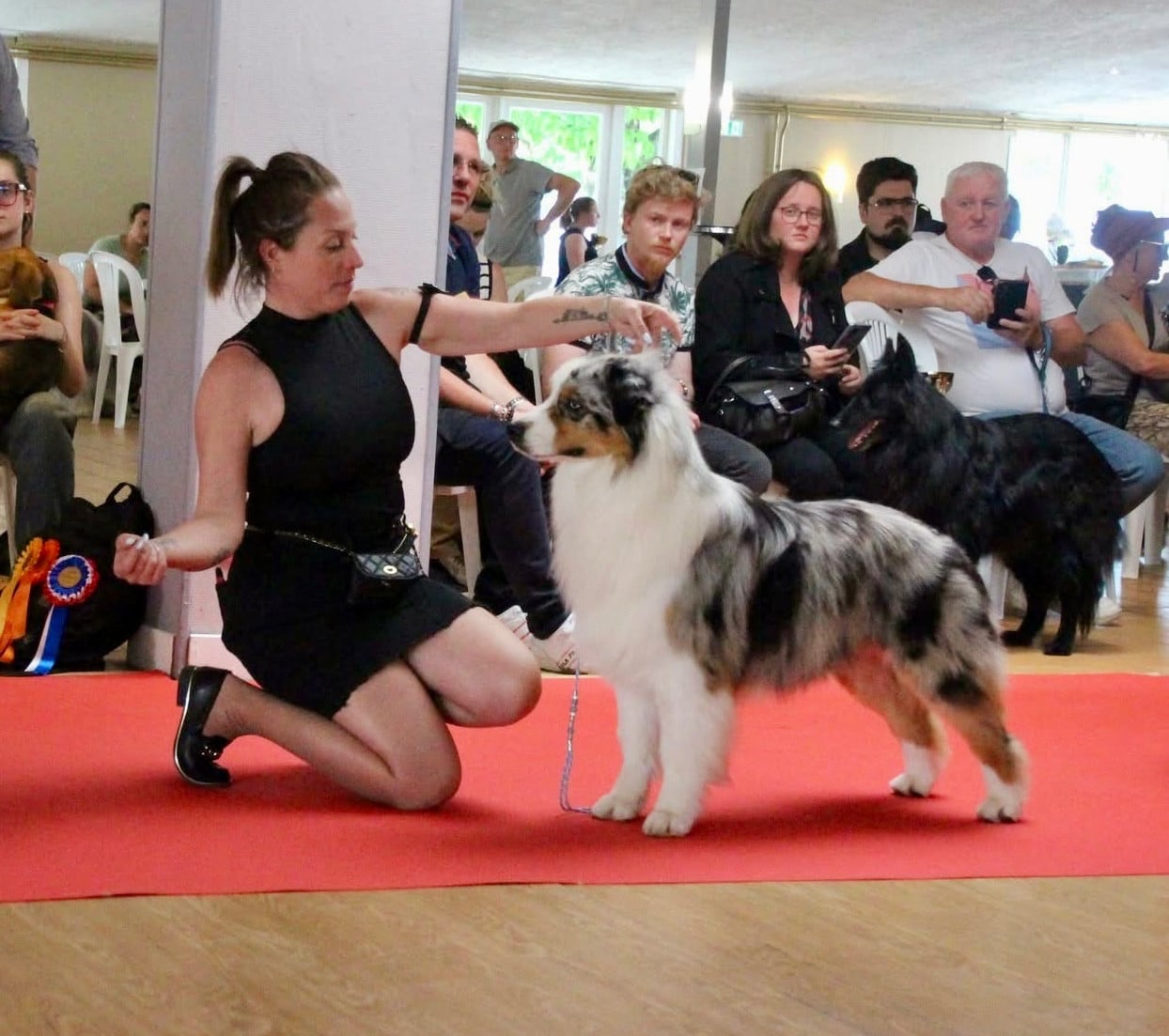 U're beautiful du Duncallipsy