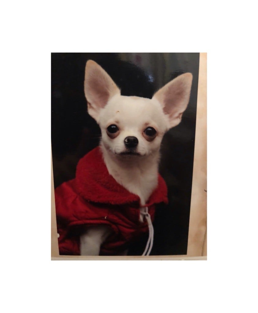 Publication : (Sans Affixe)