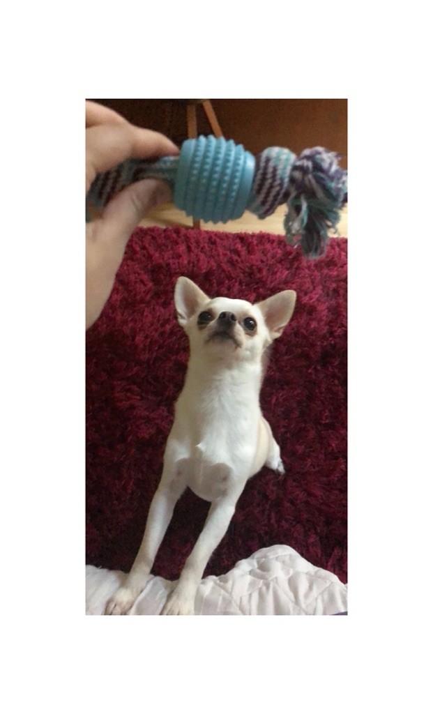 Publication : (Sans Affixe)