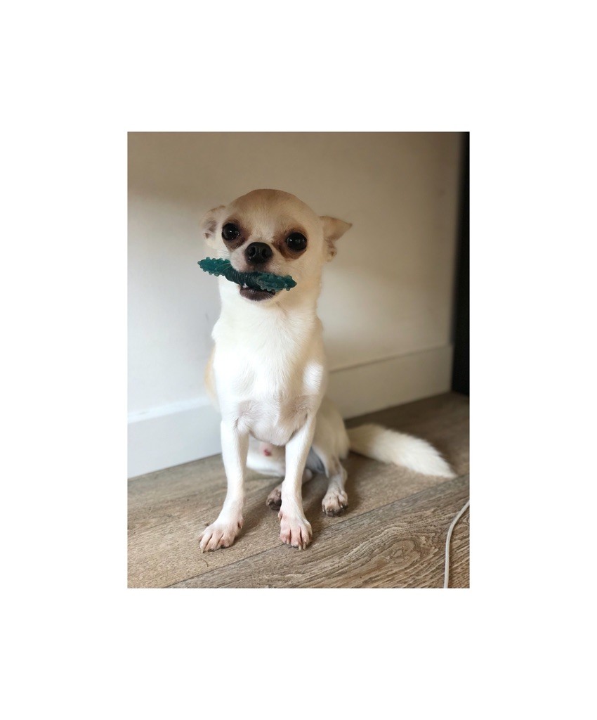 Publication : (Sans Affixe)