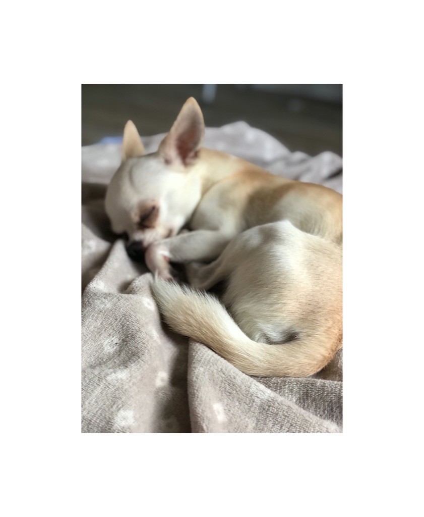 Publication : (Sans Affixe)