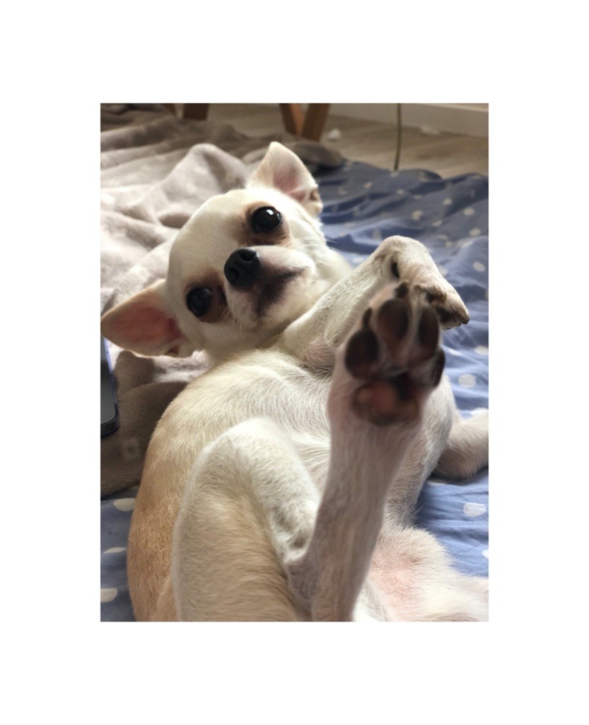 Publication : (Sans Affixe)