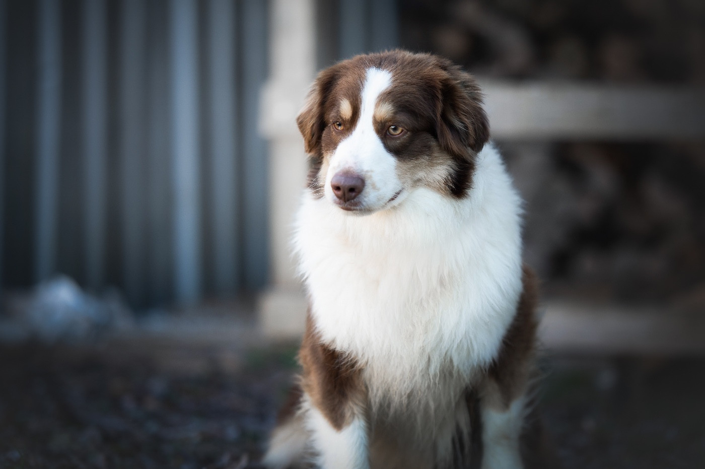 Mini's Red Mountain Versace jewel