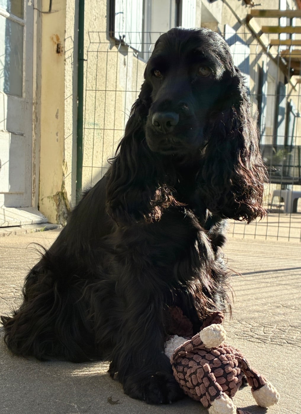 CH. Veni vidi vici canal des marais