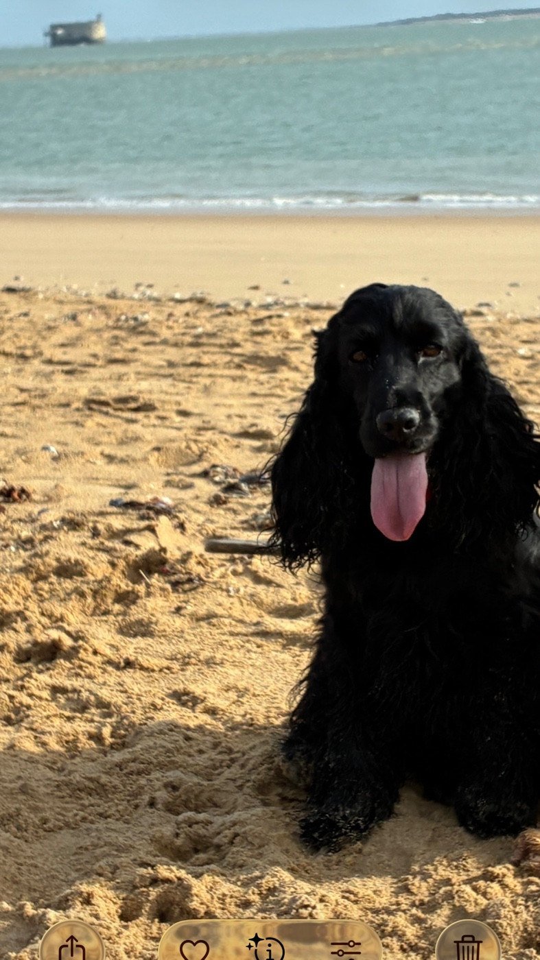 CH. Veni vidi vici canal des marais