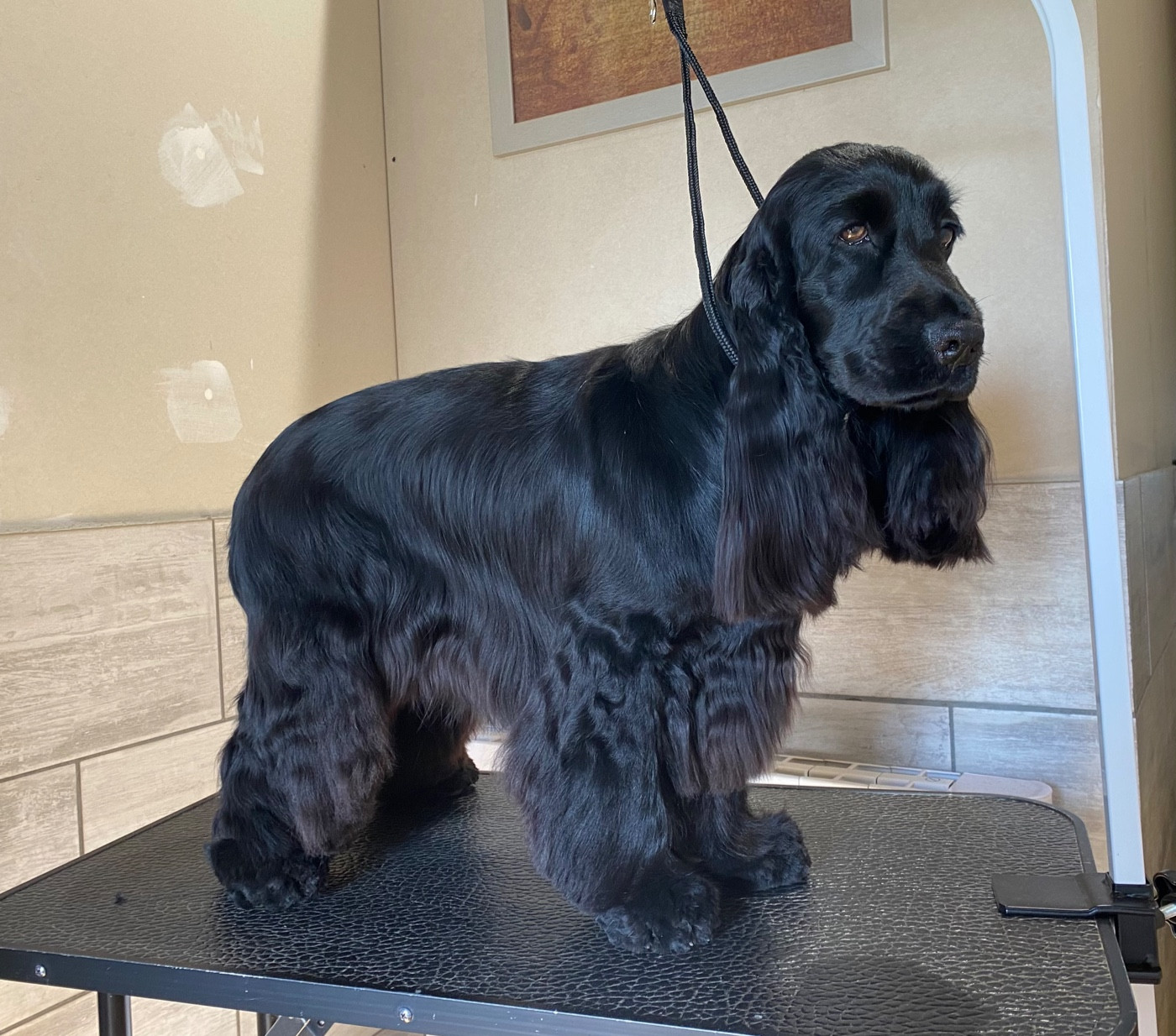 CH. Veni vidi vici canal des marais