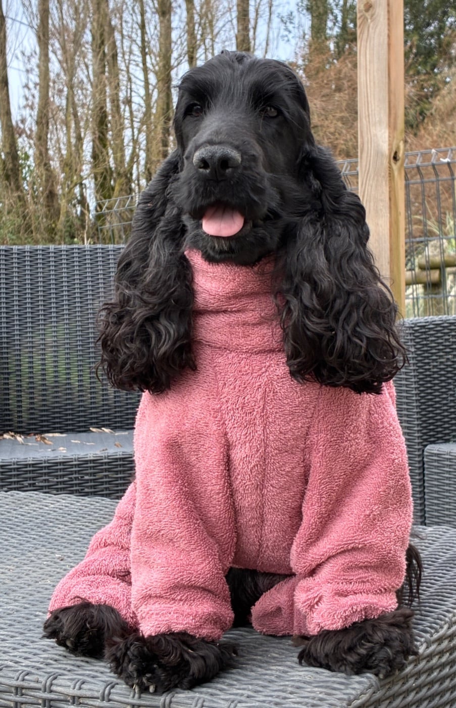 CH. Upscale du Bois d'Achelles