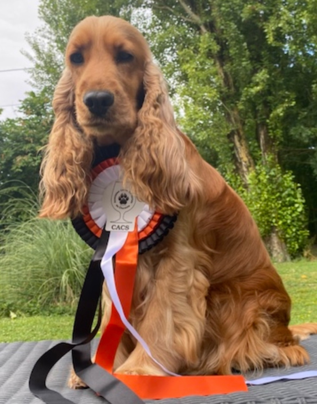 Taratata canal des marais