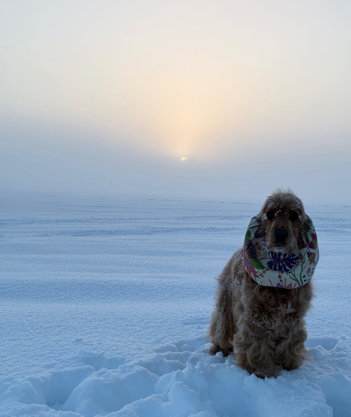 Taratata canal des marais