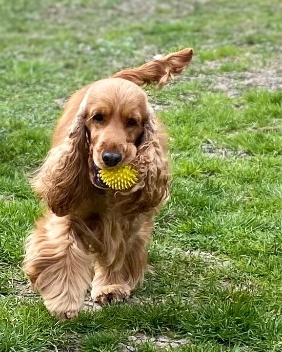 Taratata canal des marais