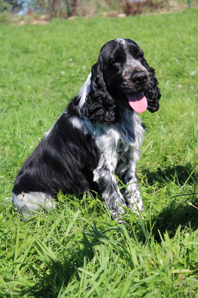 Twitter wonder full boy du charme aux loups