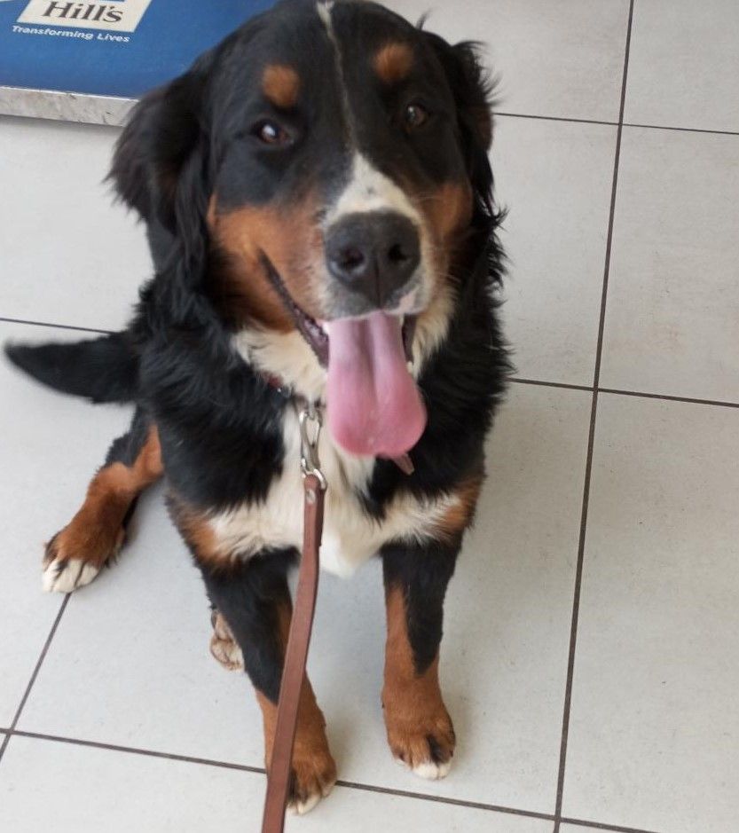 Vedette Titre Initial