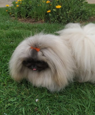 Des P'tits Bouts D'Entrain