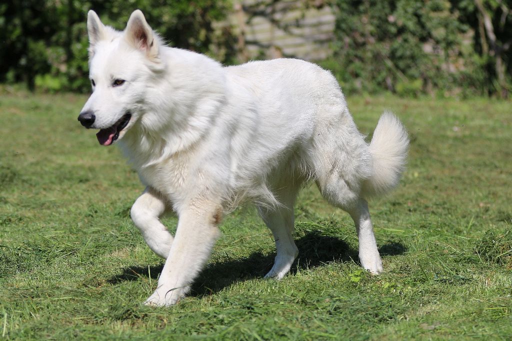 Publication : De la combe noire