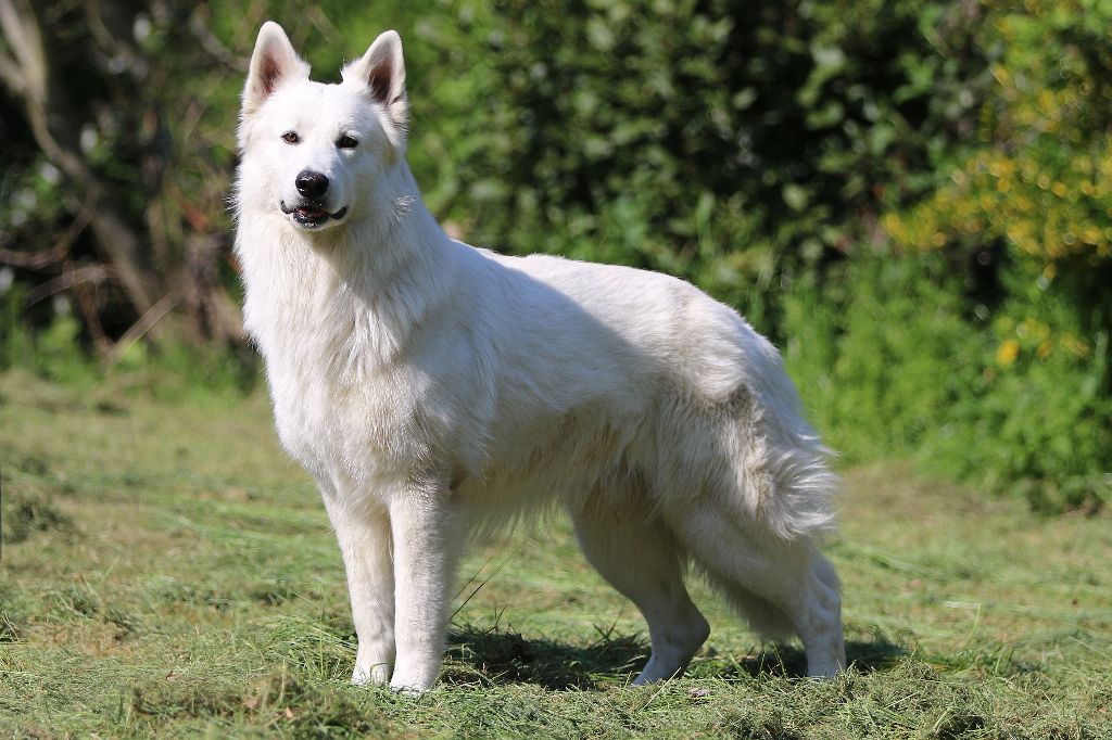 Publication : De la combe noire