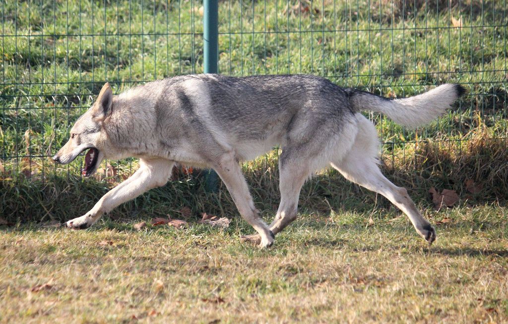 Publication : De la combe noire