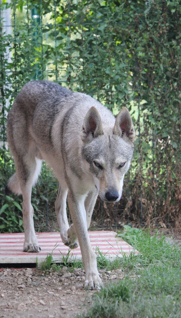 Publication : De la combe noire