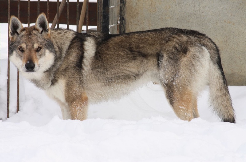 Publication : De la combe noire