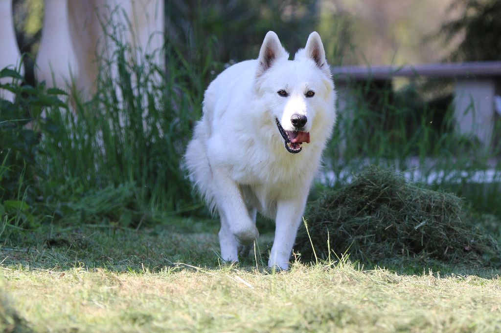 Publication : De la combe noire