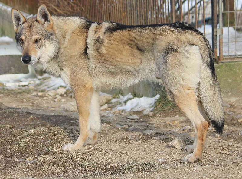 Publication : De la combe noire