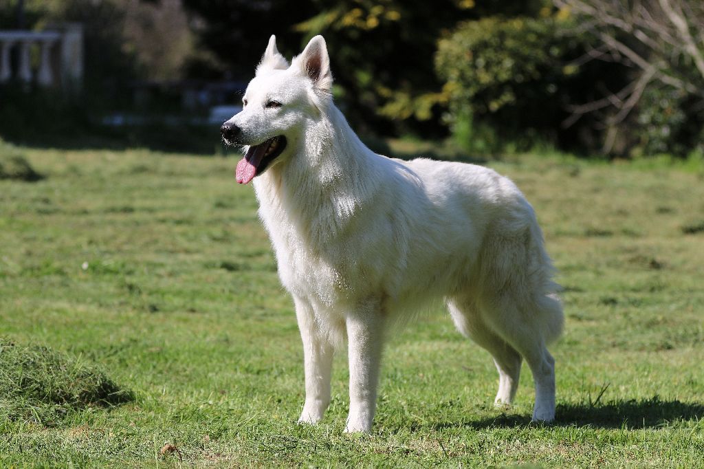 Publication : De la combe noire