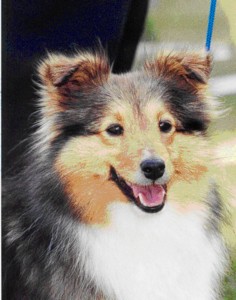 Publication : des deux étoiles