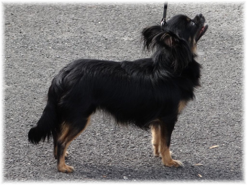 Publication : des deux étoiles