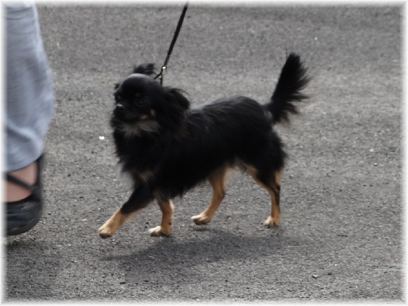 Publication : des deux étoiles