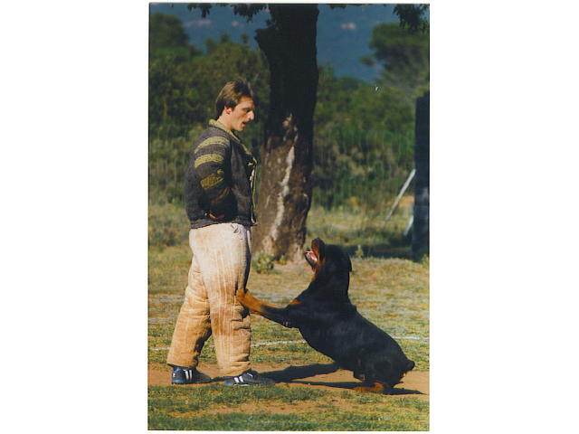 Publication : Vom hundegluck