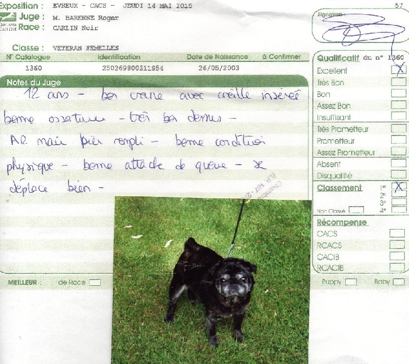 Ulsane De la colline maya