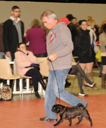 Griotte dite gélinotte De la colline maya