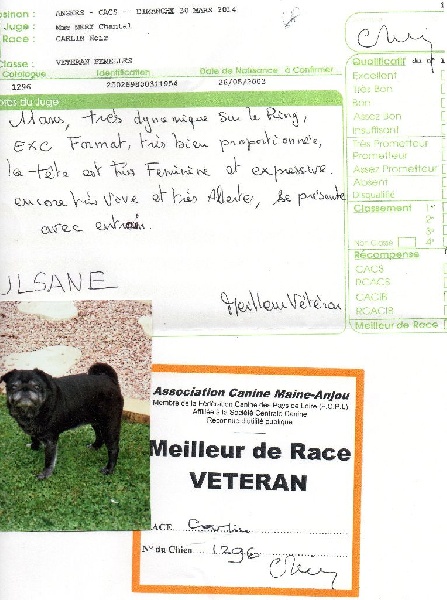 Ulsane De la colline maya