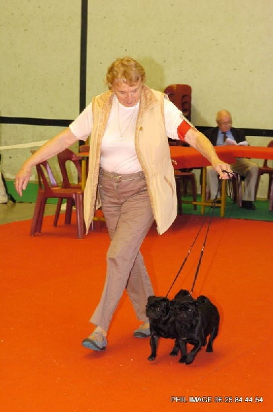 Griotte dite gélinotte De la colline maya