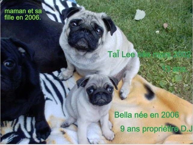 Bella De la colline maya