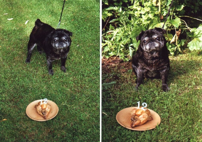 Ulsane De la colline maya