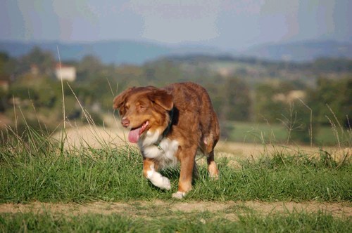 Publication : des Yeux de Crystal