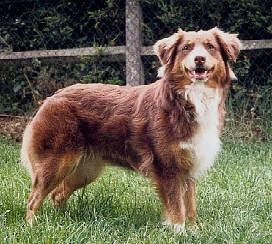 Publication : des Yeux de Crystal