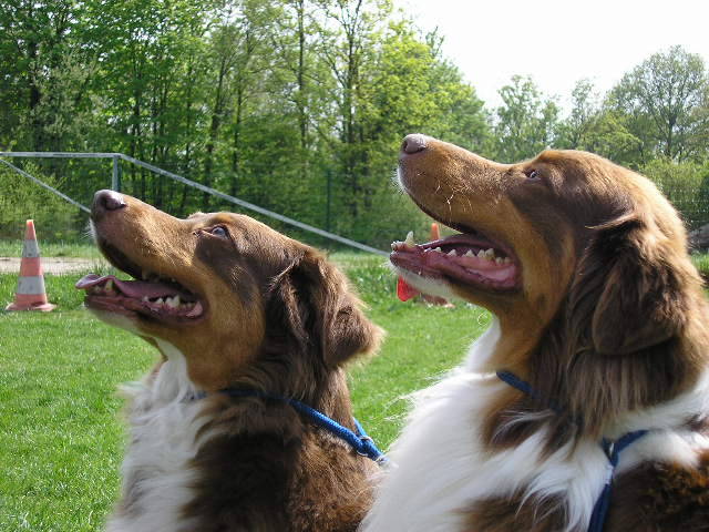 Publication : des Yeux de Crystal