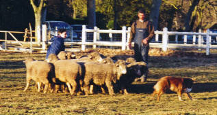 Publication : des Yeux de Crystal