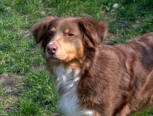 Publication : des Yeux de Crystal