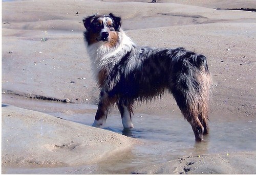 Blizzard in dakota des Yeux de Crystal